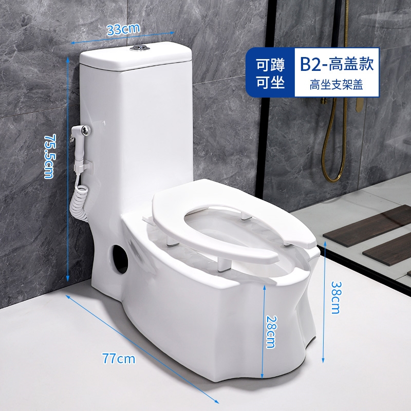 闪电客蹲坐两用马桶一体式可蹲可坐座便器双用蹲便器蹬坐厕二合一2038