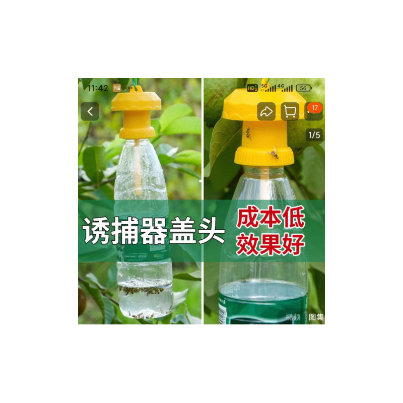 果蝇诱捕器盖子 黄色高清大图