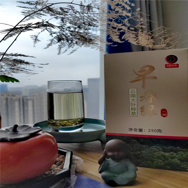 早春绿一级绿茶云南大叶种茶2022年早春绿茶250g云南临沧凤庆