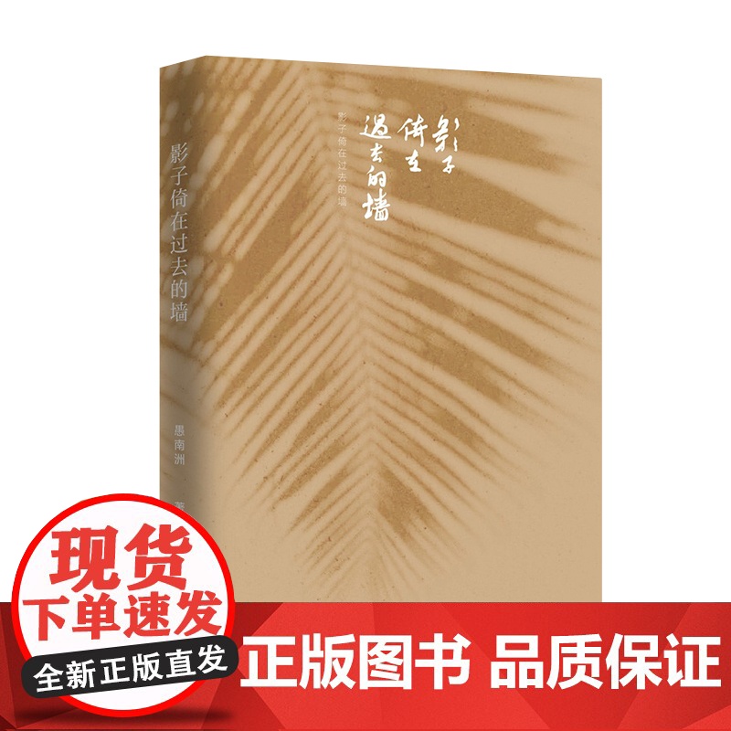 影子倚在过去的墙(诗人愚南洲诗歌精选集) 作家出版社 正版书籍高清大图