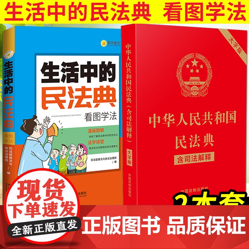 中华人民共和国民法典(含司法解释)大字版+生活中的民法典看图学法 法律常识一本读懂法律常识全套解答日常生活法律十万个为什高清大图
