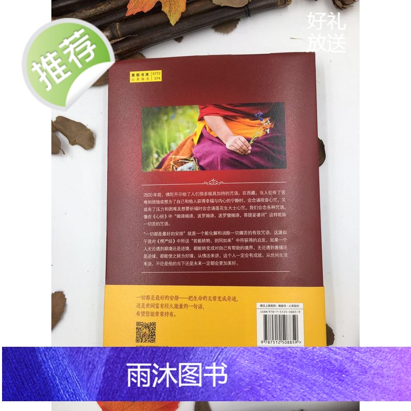 正版 一切都是最好的安排2 把生命的无常变成奇迹 加措活佛 索甲仁波切推荐 国际文化出版公司高清大图