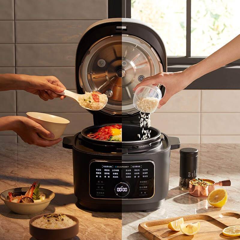蓝宝(BLAUPUNKT)蓝宝电压力锅电饭煲家用3L全自动排气小型低温分子料理 石岩灰 3L BP -FB02高清大图