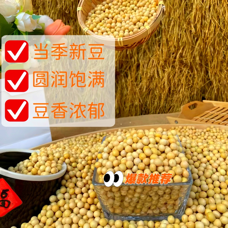 鲁强石磨源黄豆 1kg*2袋 手工挑选 颗粒圆润酥田袋装高清大图