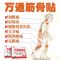 通化万通筋骨贴[10贴 四重防伪]万通筋骨喷剂 腰椎间盘颈椎[10月3日发完] 万通筋骨贴[(散装无盒)5袋10贴]