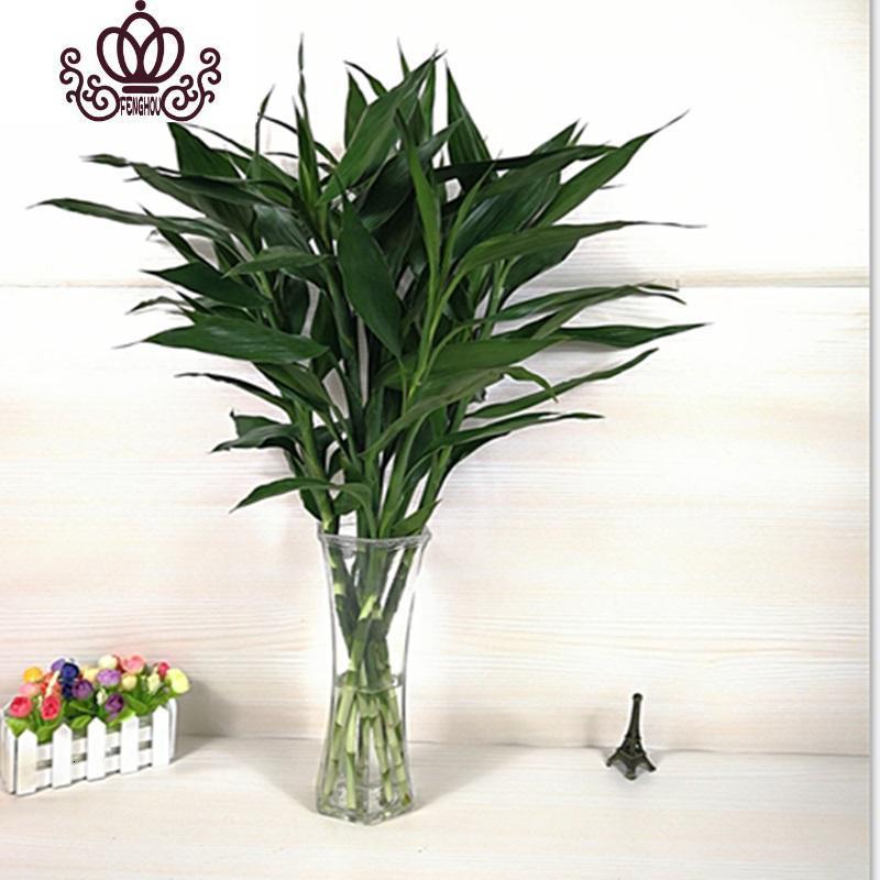封后室内花卉盆栽水培植物竹大叶竹观音竹客厅竹子水养四季富贵竹10颗 70cm高 不含盆视频介绍 封后室内花卉盆栽水培植物竹大叶竹观音竹客厅竹子水养四季富贵竹10颗 70cm高 不含盆功能演示视频 苏宁易购