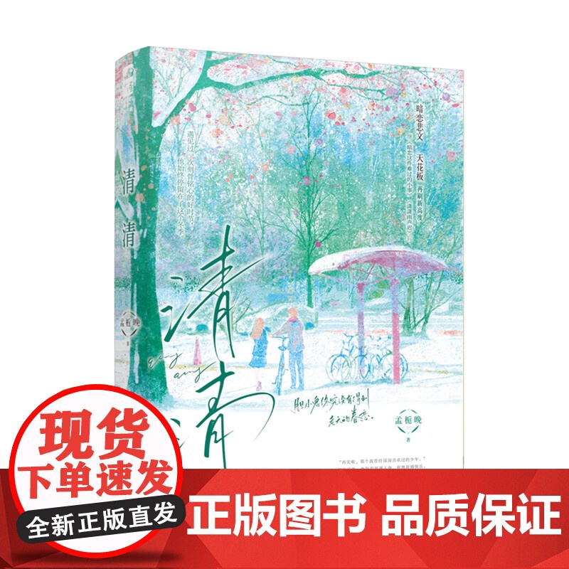 清清 中学青春言情小说继暗恋这件难过的小事潇潇雨声迟后又一力作青春文学校园双向暗恋be文言情小说 正版书籍高清大图
