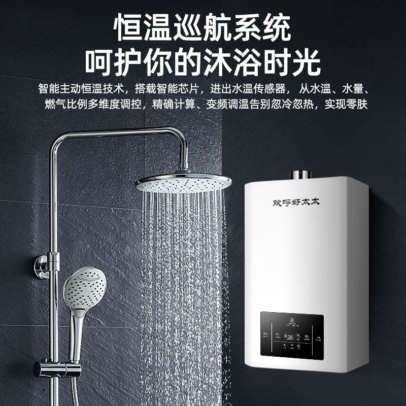 欢呼好太太 16升燃气热水器 三档变升智能支持恒温 家用强排式热水器16L大容量WTR16L(天然气)自行安装图片