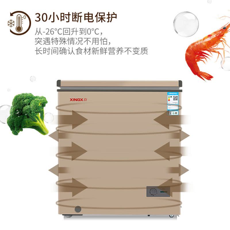 星星(XINGX) 101L 家用冷柜 卧式冷柜 商厨商用保鲜设备 安全圆角 微霜系统 节能省电 BD/BC-101R图片