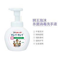 [植物萃取]狮王(LION) 日本进口 泡沫趣净洗手液油污清洁剂 250ml