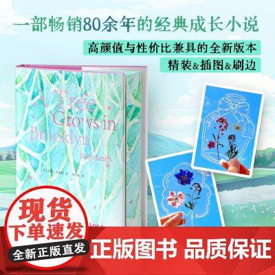 【礼盒+刷边+赠书签】布鲁克林有棵树 贝蒂·史密斯青少年版女性成长教育自我实现之书温暖治愈外国文学经典作品中小学生课外阅