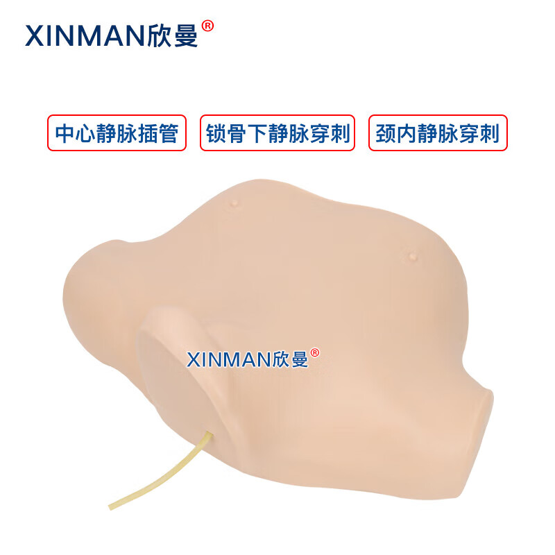 欣曼科教 中心静脉穿刺插管模型 中心静脉置管术训练模型XM-LZC02高清大图