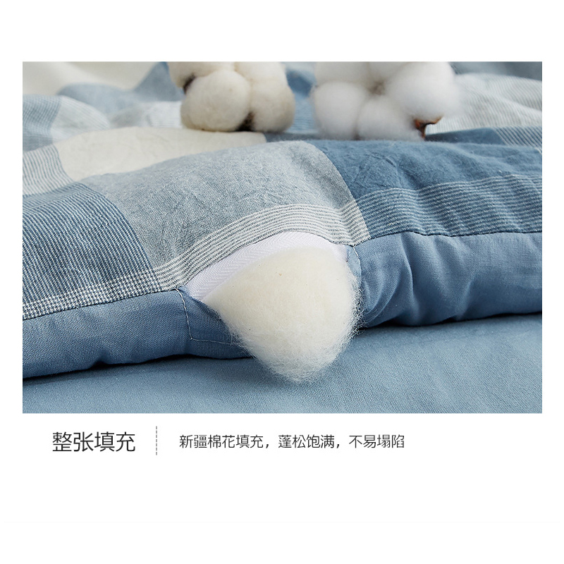 莱依瑾 LYEEGIN 棉被 A类新疆棉 200x230cm8斤 张高清大图