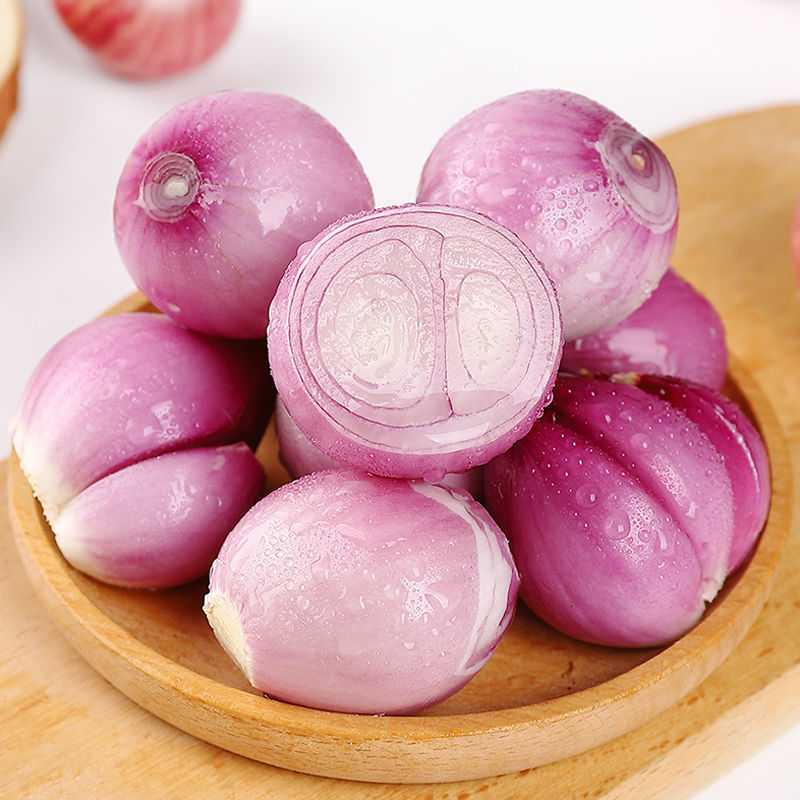 湛航 东北毛葱批发紫皮小葱头圆洋葱新鲜红鬼子干葱头笨毛葱栽种子