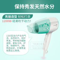 飞利浦(Philips) 电吹风机 家用小功率 可折叠便携式电吹风筒 负离子护发 BHC019/05