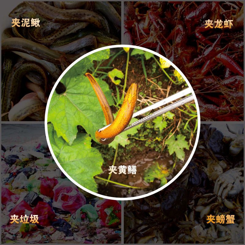 黄鳝夹鳝鱼钳垃圾夹泥鳅螃蟹夹子钳子防滑夹鱼神器捉鱼器龙虾工具 不锈钢直头款（长28cm）