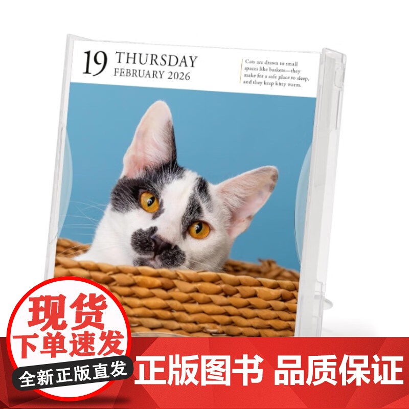 2026年画廊日历 猫咪 Workman Calendars 著 生活方式高清大图