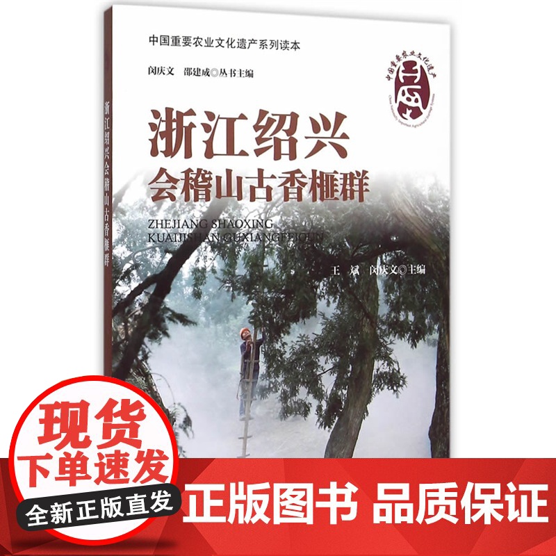 浙江绍兴会稽山古香榧群高清大图