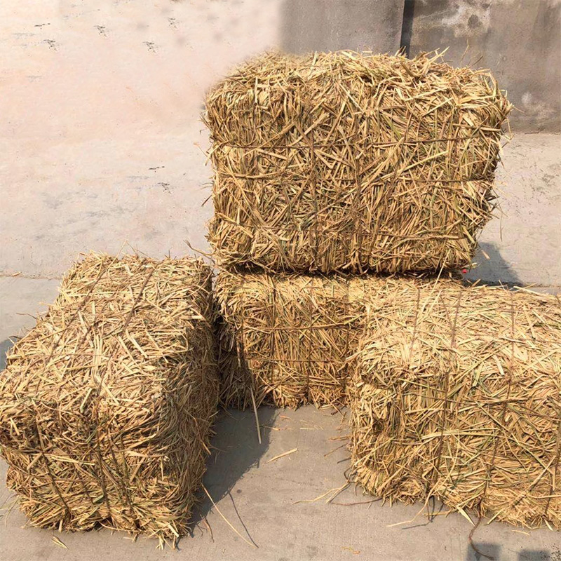 璐盐 草墩 草垛 个高清大图
