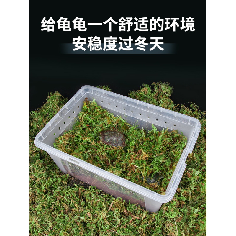 乌龟冬眠用品巴西龟爬宠椰土苔藓椰砖沙爬虫箱垫材过冬土高清大图