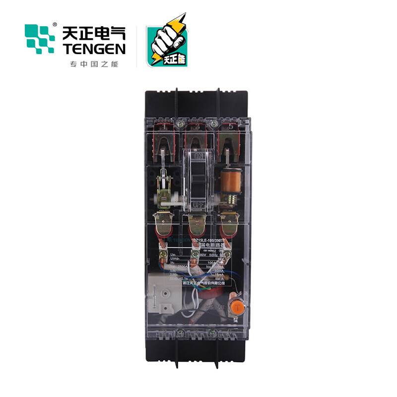 天正电气DZ15LE-100 5KA热磁式100A 3P 手动 固定式 380V 01020010273 塑壳漏电断路器