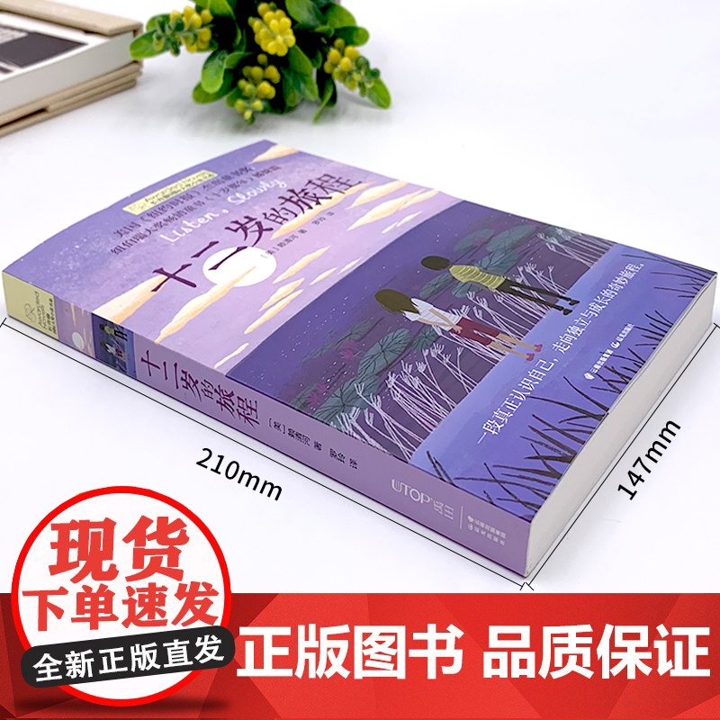 长青藤国际大奖小说书系全2册十二岁的旅程 五年级的烦恼纽伯瑞儿童文学奖三四五六年级课外书小学生故事书青少年励志读物老师高清大图