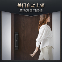 德施曼指静脉密码锁全自动智能锁Q5S电子门锁家用防盗门智能锁高端黑