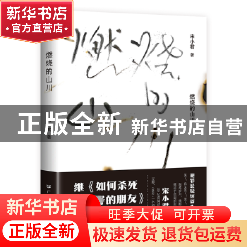 正版 燃烧的山川 宋小君著 广东人民出版社 9787218160474 书籍高清大图