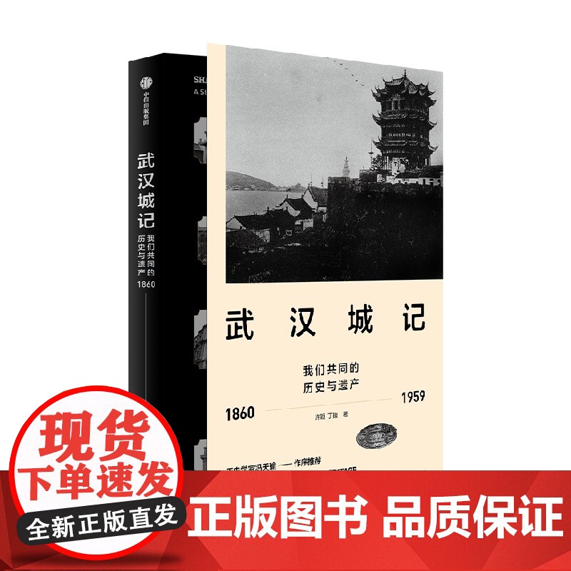 武汉城记 许颖 著 社会科学高清大图