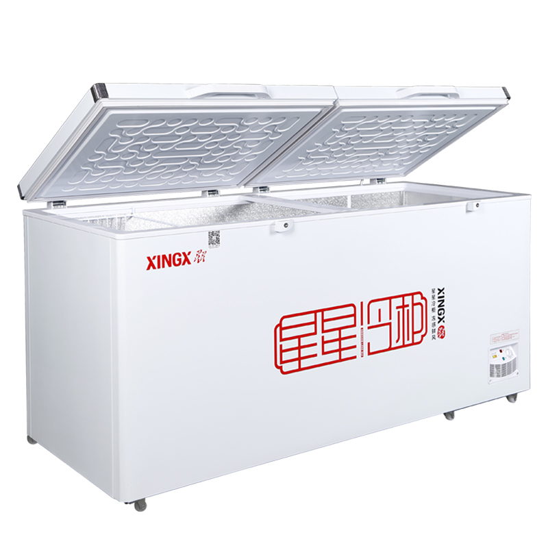 星星(XINGX)BD/BC-618G 商用卧式大冷柜 大冷冻力冰柜 断电保护 节能省电 冷藏冷冻