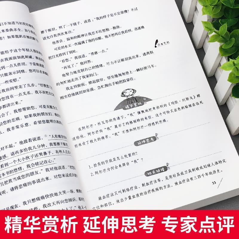 茶花女小学生至初中适合阅读的课外书三四五六七年级必读名著 茶花女