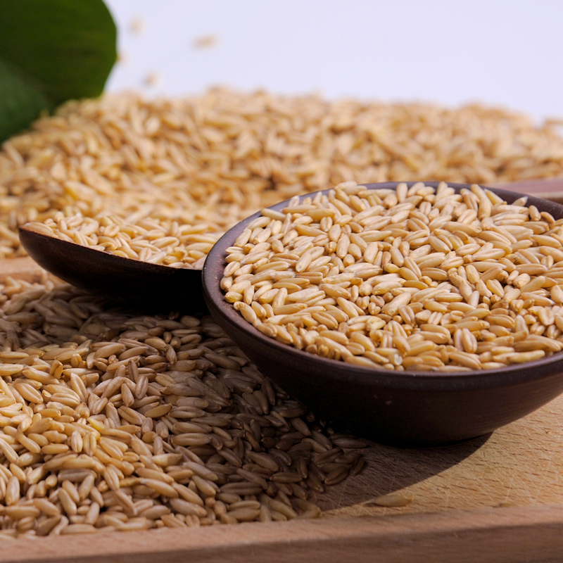 珍佰粮 有机糙米400g/罐 五谷杂粮 粗粮燕麦米