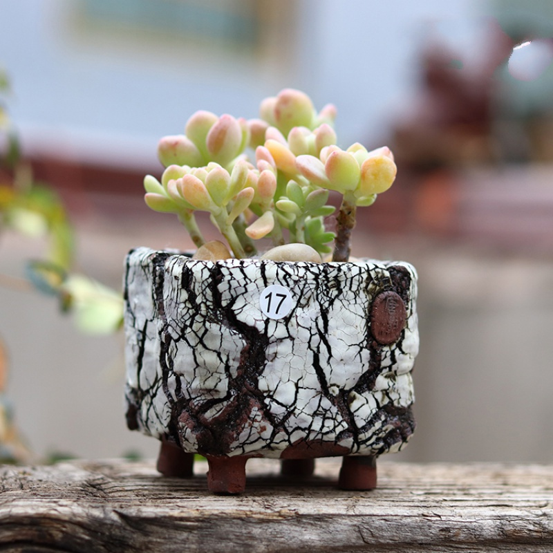 十款复古花盆品质优良榜推荐-苏宁头条