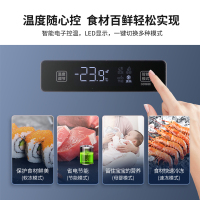 澳柯玛家用立式冷柜BD-113EVH冷冻低温时尚家用侧开门冰柜电脑控温储奶小冰箱