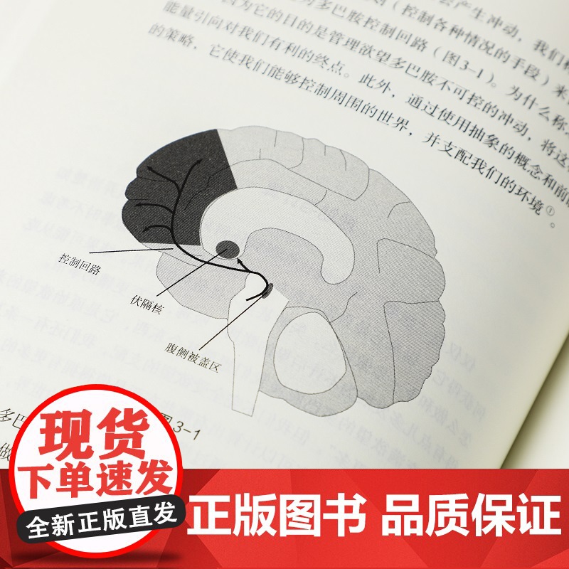 贪婪的多巴胺 丹尼尔利伯曼等著 脑科学家大卫伊格曼新世代独立图书奖讲述多巴胺如何影响人的情绪行为和习惯高清大图