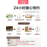 小浣熊电炖锅煮粥迷你煲汤预约全自动蒸电炖盅隔水炖家用1人 粉红色双胆款（陶瓷+玻璃胆）