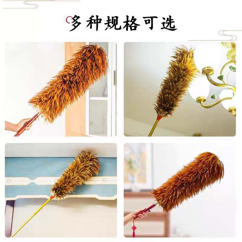 鸡毛掸80cm 密款高清大图