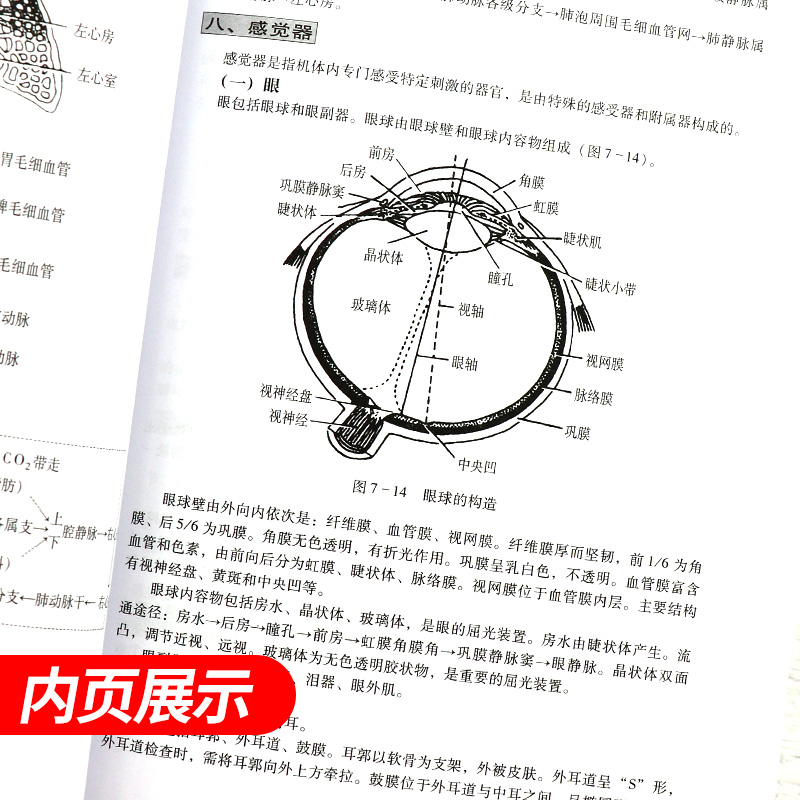 [正版]全套3本 药店店员基础训练手册+常见疾病用药手册 药店版+对症用药及误用辨别手册 药店从业者入职用书 认识西药高清大图