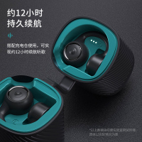 纽曼(Newmine) TWS真无线蓝牙耳机 骨传导防水防汗音乐运动跑步耳机 通话降噪苹果小米通用GE12