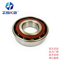 ZSKB 角接触球轴承 7206BWE.N