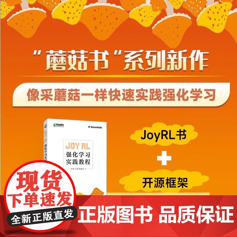 Joy RL强化学习实践教程 开源框架强化学习深度学习基础机器学习 动态规划 强化学习算法 DQN算法 DQN算法进阶