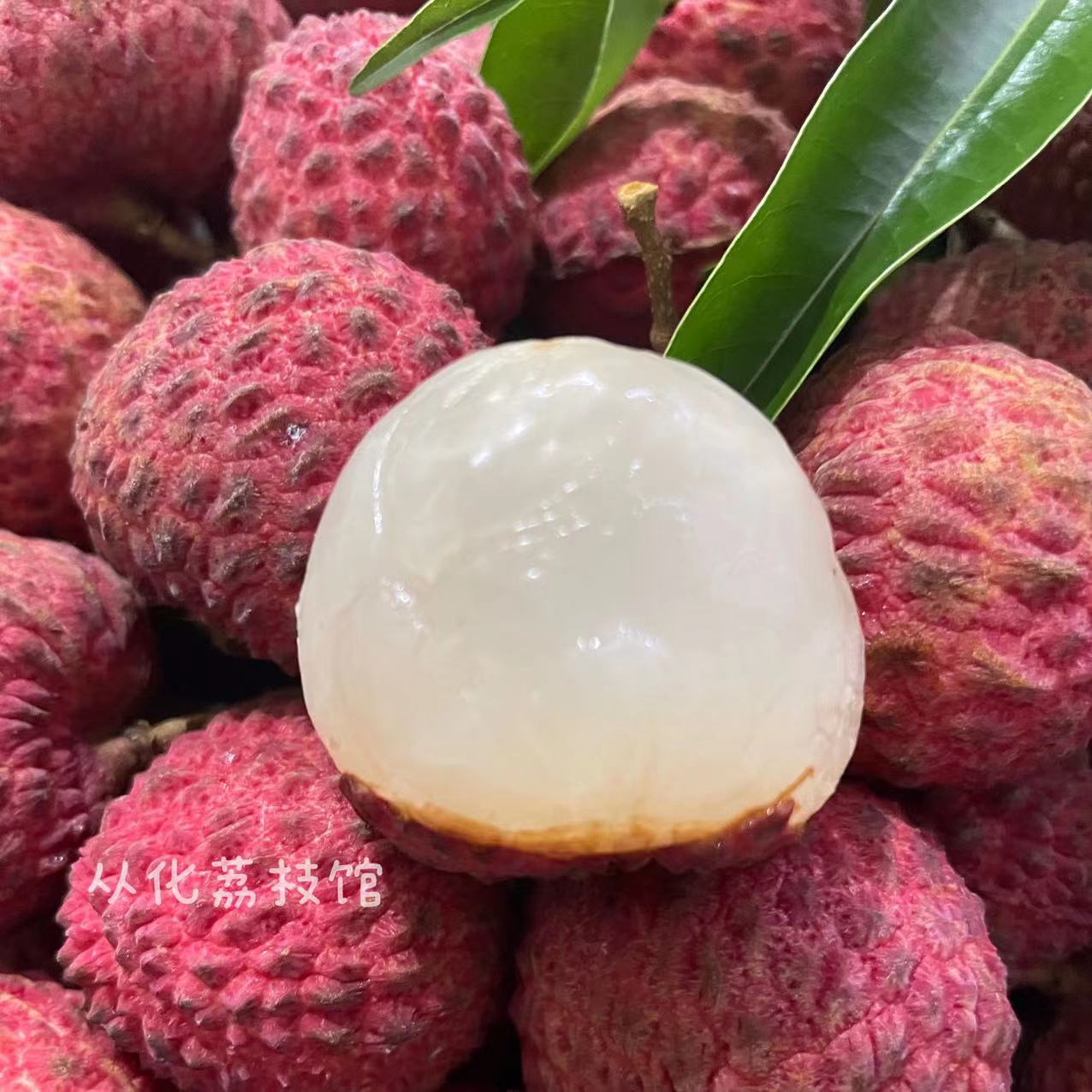 预售 糯米糍荔枝 [中华特色]从化馆 7月3日前发货 精品荔枝 3斤/5斤