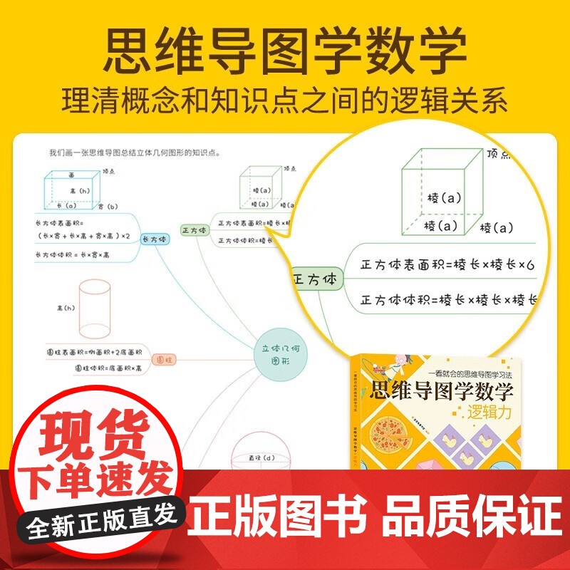 一看就会的思维导图学习法 6-12岁 歪歪兔童书馆 编著 全脑开发早教书 智力开发高清大图