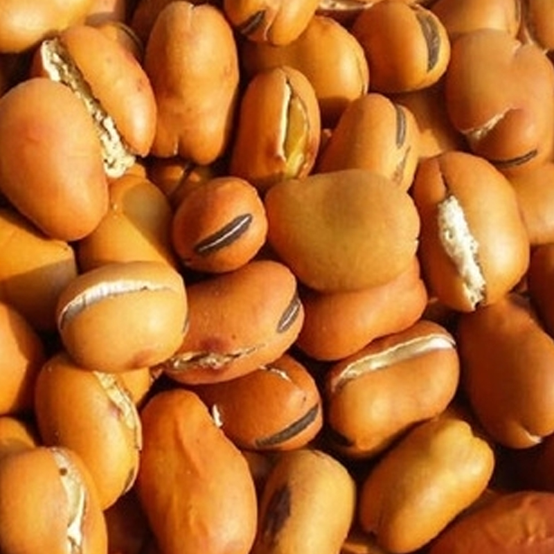 宁百晟干炒大豆(分装)380g/罐高清大图