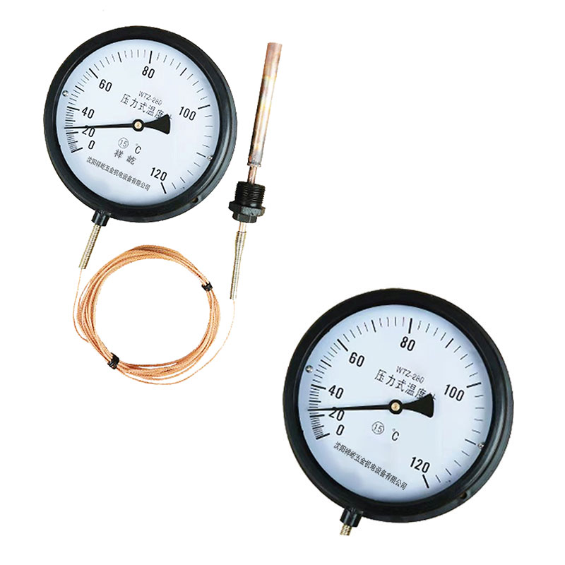 祥屹 压力式温度计定制检测款 WTZ280 120度 个高清大图