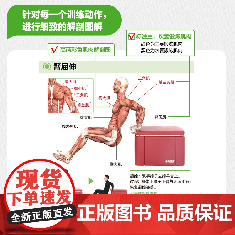 无器械训练解剖挂图 预计发货07.28高清大图