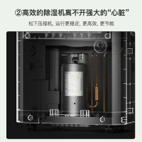 欧井(Eurgeen) 除湿机 家用轻音室内除潮卧室去湿抽湿吸湿器干燥机大功率神器 OJ-213E