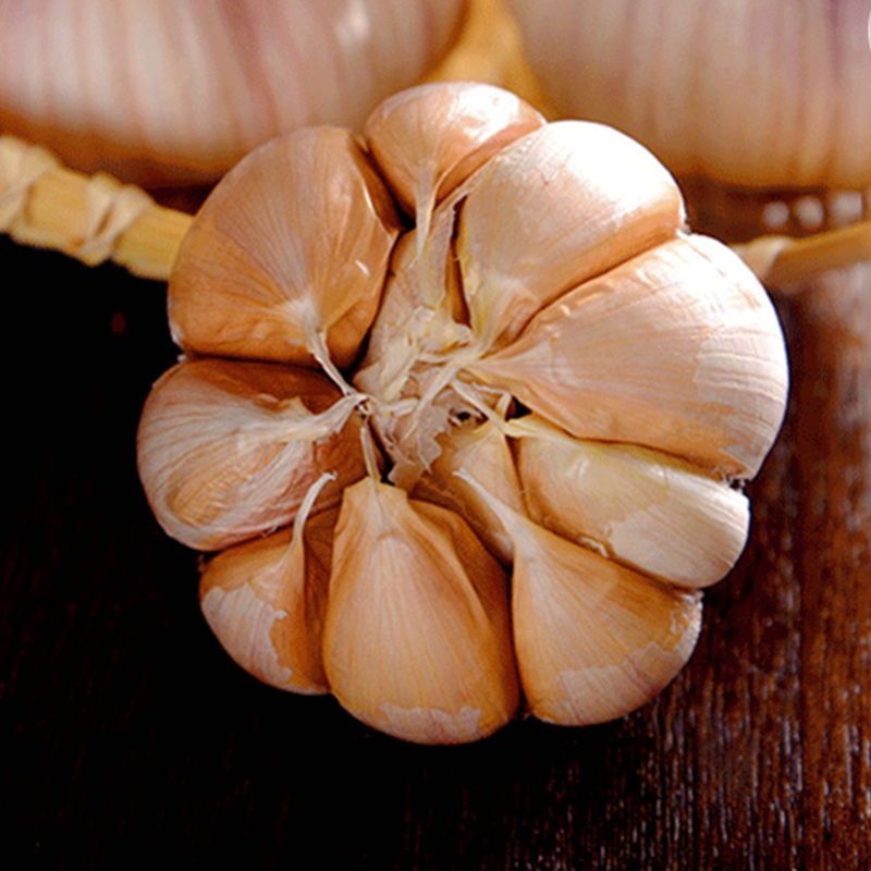 5斤】 新晒大蒜头新干蒜大头蒜10斤2斤精选河南紫皮大蒜头批发干蒜甘