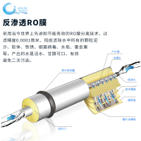 威世顿(viston)厨下式家用净水器反渗透净水机VST-RO75-0051C