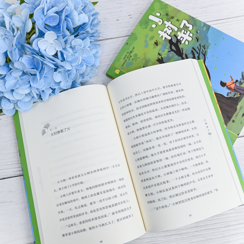 小树来了 [正版]小树来了 陈伯吹新儿童文学桂冠书系 贾颖 著 儿童文学 男孩成长 乡村生活 亲情暖心 离别 陈伯吹新儿高清大图